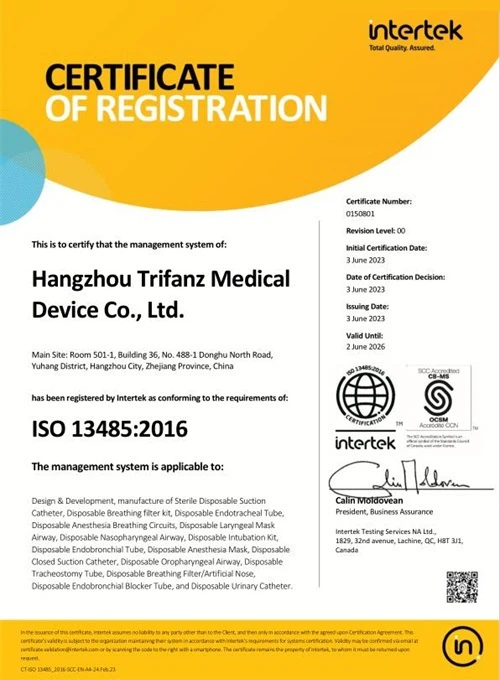 ISO ISO